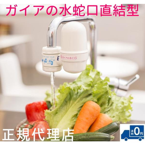 【クーポン＆おまけ付♪】ガイアの水135 蛇口用浄水器　ビビアン蛇口直結型