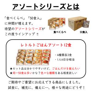 非常食 保存食 7年 水なし レトルトごはんア...の詳細画像1