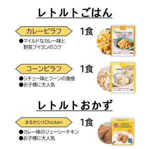 非常食セット 保存食 7年 10年 1人 2日...の詳細画像4