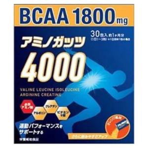 【送料込み】【2個セット】アミノガッツ4000 5g×30包【リブ・ラボラトリーズ】｜fdc