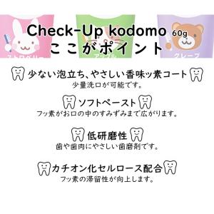 ☆ミニまで香味チョイス可☆ LION DENT...の詳細画像2
