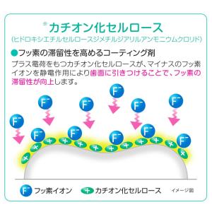 ☆ミニまで香味チョイス可☆ LION DENT...の詳細画像3