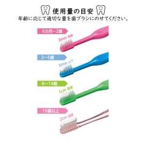 ☆ミニまで香味チョイス可☆ LION DENT...の詳細画像4