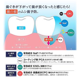 ライオン デント チェックアップ ルートケアα...の詳細画像3