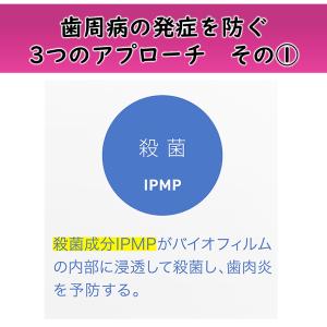 【NEW!外箱あり】ライオン デント システマ...の詳細画像1
