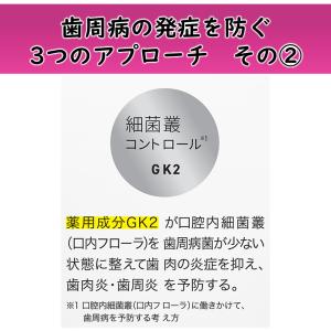 【NEW!外箱あり】ライオン デント システマ...の詳細画像2