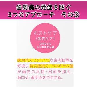 【NEW!外箱あり】ライオン デント システマ...の詳細画像3