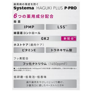 【NEW!外箱あり】ライオン デント システマ...の詳細画像4