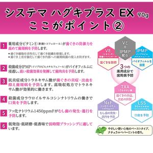 【送料無料・箱なし・新品・未使用】ライオン デ...の詳細画像2