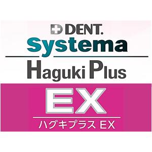 【送料無料・箱なし・新品・未使用】ライオン デ...の詳細画像5