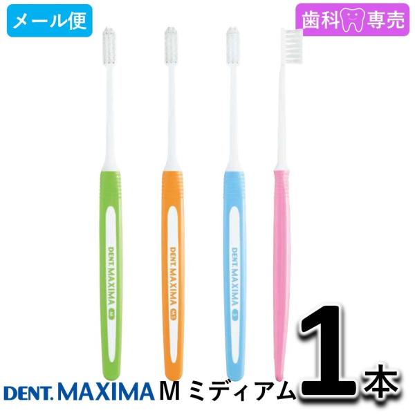 DENT. MAXIMA デントマキシマ M ミディアム 1本 ライオン LION 歯科専売 歯ブラ...