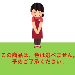 送料無料 LION DENT.EX onetu...の詳細画像2