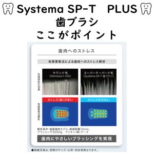 送料無料 LION DENT. systema...の詳細画像1