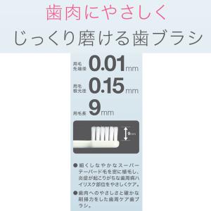 送料無料 LION DENT. systema...の詳細画像2