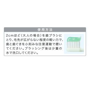 【送料無料・箱なし・新品・未使用】ライオンDE...の詳細画像2