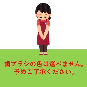 送料無料 テペ TePe セレクトコンパクト ...の詳細画像1