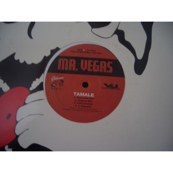 12inchレコード　 MR. VEGAS / PULL UP