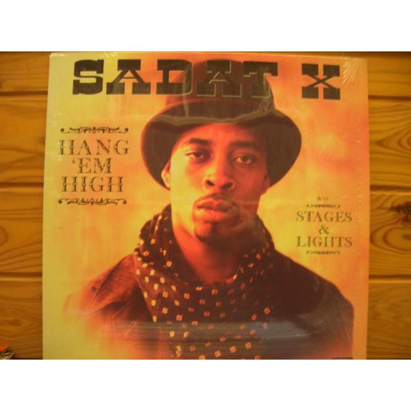 12inchレコード　 SADAT X / HANG 'EM HIGH