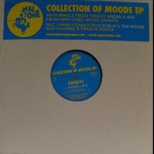 12inchレコード　AMNAYE / COLLECTION OF MOODS EP