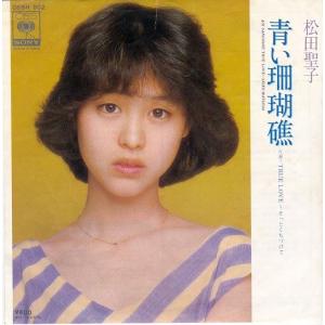 堀ちえみ／堀ちえみ 40周年アニバーサリー CD／DVD-BOX 【CD+DVD