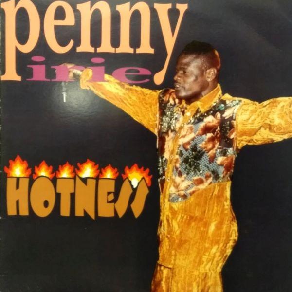 LPレコード　 PENNY IRIE / HOTNESS