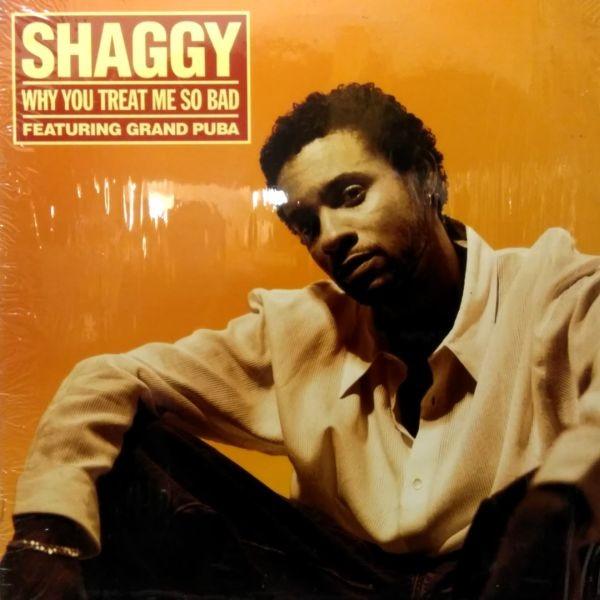 12inchレコード　 SHAGGY / WHY YOU TREAT ME SO BAD