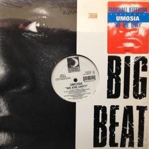 12inch レコード　UMOSIA / WE ARE UNITY