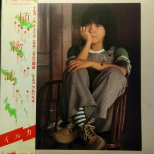 LPレコード 松田聖子 / NORTH WIND : レコード買取・販売 COCOBEAT