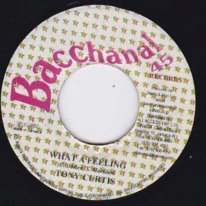 EPレコード　TONY CURTIS / WHAT A FEELING