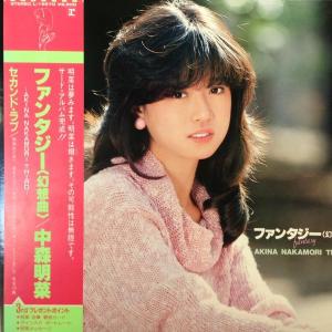 12inchレコード 中森明菜 / 赤い鳥逃げた : レコード買取・販売