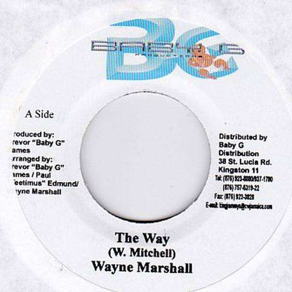 EPレコード　WAYNE MARSHALL / THE WAY (20 CENTS)