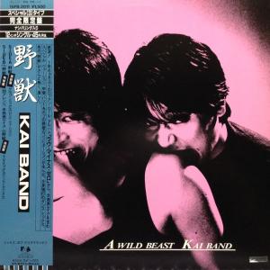 LPレコード 松田聖子 / NORTH WIND : レコード買取・販売 COCOBEAT