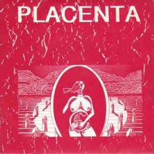 7inchレコード　PLACENTA / WHAT'S THE NEWS