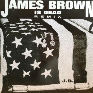 12inchレコード N.Y. STYLE / JAMES BROWN IS DEAD REMIX