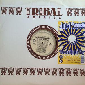 12inchX2レコード JOE T. VANNELLI PROJECT / SWEETEST DA...