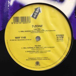 12inch レコード T-ZONE / I WILL SURVIVE