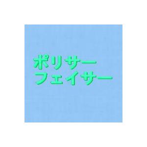 型用ポリサーフェイサー(白),20kg : フェザーフィールド株式 型用ポリサーフェイサー(白),20kg : フェザーフィールド株式