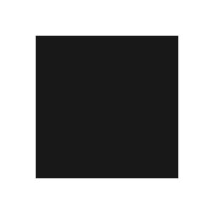 小分 ポリエステル樹脂着色剤(トナー)，黒N0.5×50g【公進ケミカル】