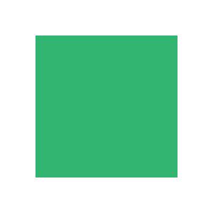 小分 ポリエステル樹脂着色剤(トナー)，グリーン5G4/8×250g【公進ケミカル】