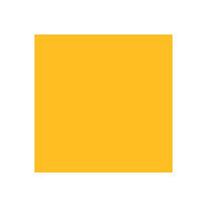 小分 ポリエステル樹脂着色剤(トナー)，イエロー2.5Y8/14×50g【公進ケミカル】