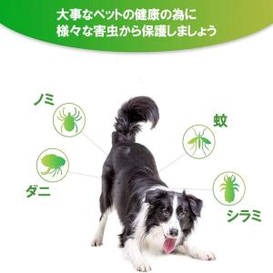 ノミ取り首輪 蚊よけ ペット用 効果8ヵ月 猫...の詳細画像1