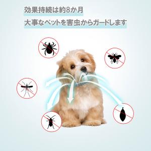 ノミ取り首輪 蚊よけ ペット用 効果8ヵ月 猫...の詳細画像2