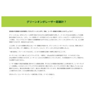 グリーンオン(GREENON) レーザー LA...の詳細画像3