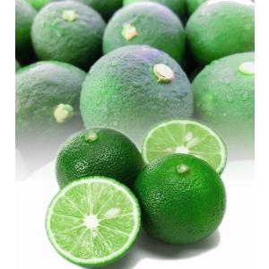 スダチ すだち 秀品 ３L 約35個入り 1kg 産地徳島より直送！ 毎日市場より仕入れ！