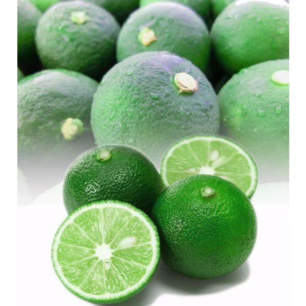 スダチ すだち 秀品 大きさおまかせ 1kg ３５〜４０個 産地徳島より直送！ 毎日市場より仕入れ！