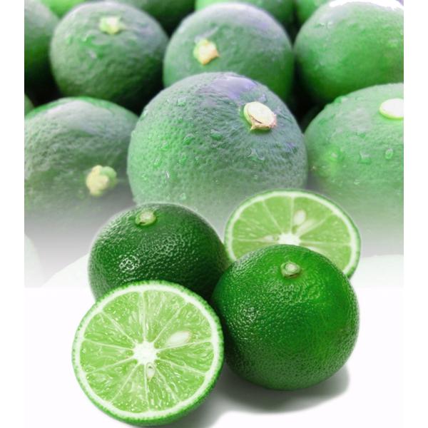 スダチ すだち 秀品 ４Ｌ 約３０個入り １kg 産地徳島より直送！ 毎日市場より仕入れ！