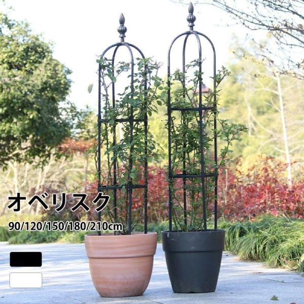オベリスク ガーデン 支柱 トレリス ////m 操作簡単 金属製 簡易組立式 つる性植物 バラ用 ...