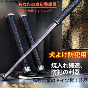 屋外 トレッキングポール 3段バトン 登山 スト...の商品画像