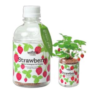 聖新陶芸 育てるグリーンペット green pet ワイルドストロベリー GD-863 栽培キット 栽培セット