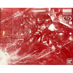 再利用 MG 1/100 ガナーザクウォーリア(ルナマリア・ホーク専用機)[クリアカラー] 機動戦士...